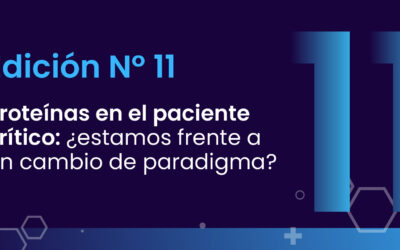 Boletín N11
