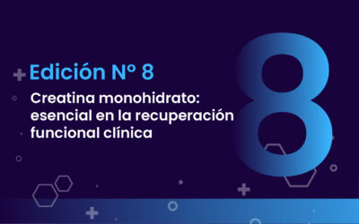 Boletín N8